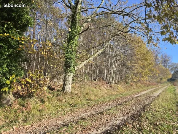 Terrain 14 460 m² Villamblard