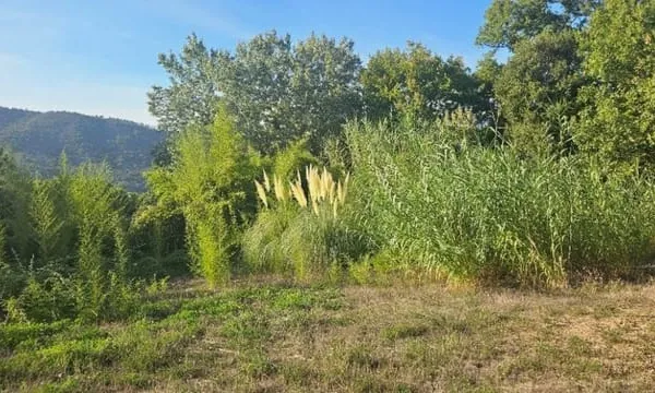 Terrain 2385 m²