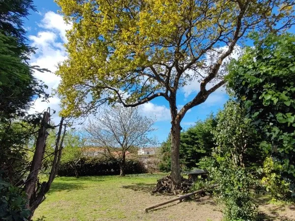 Terrain 474 m²