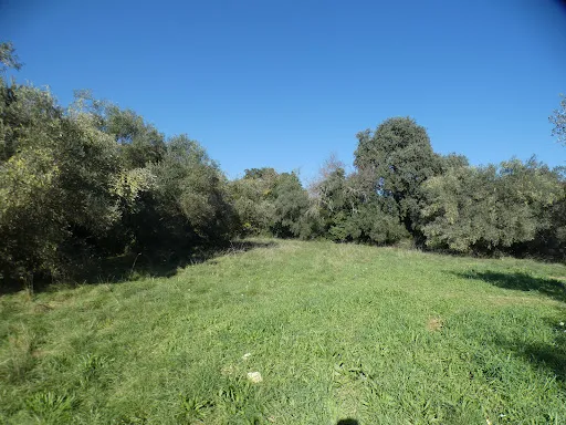 Terrain 1341 m²