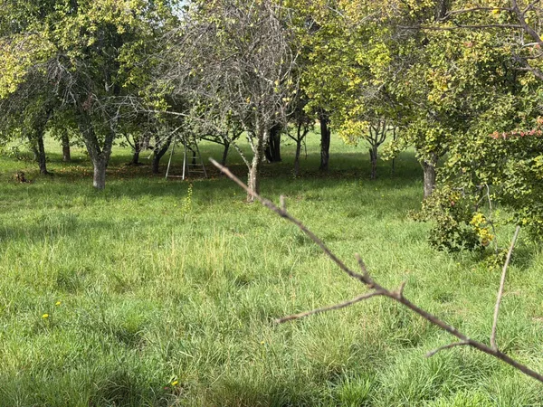 Rare sur la commune, terrain à bâtir viabilisé