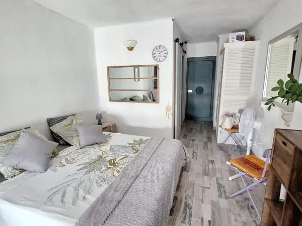 Studio 1 pièce 24 m²