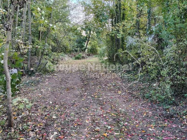 Terrain 30000 m²