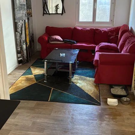 Appartement en collocation