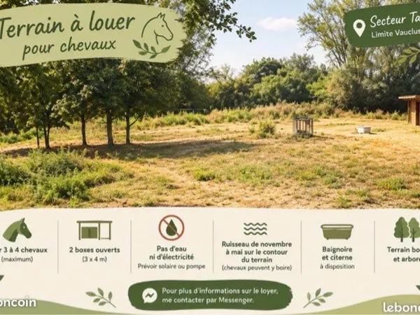 Location terrain agricole pour chevaux