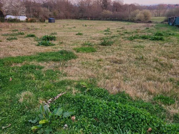 Terrain constructible