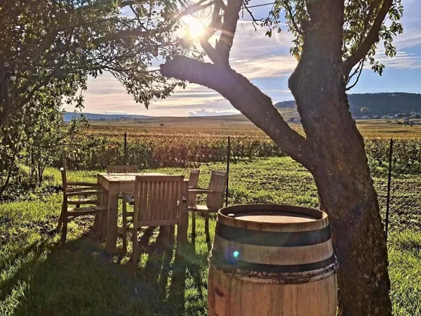 A saisir restaurant (fond et murs) idéalement situé face au vignoble