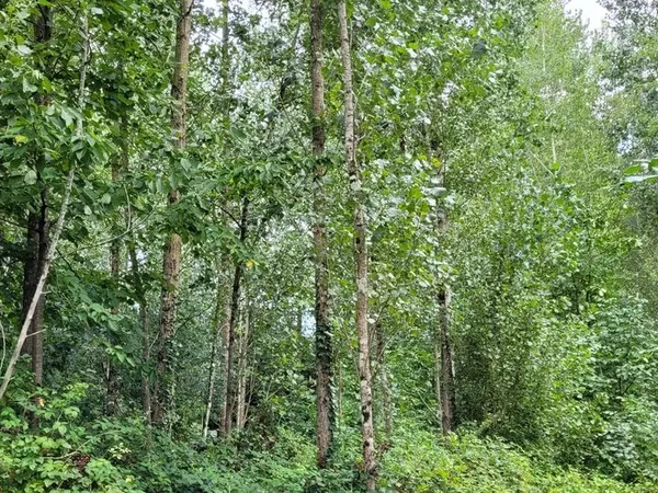 Terrain de loisirs, bois