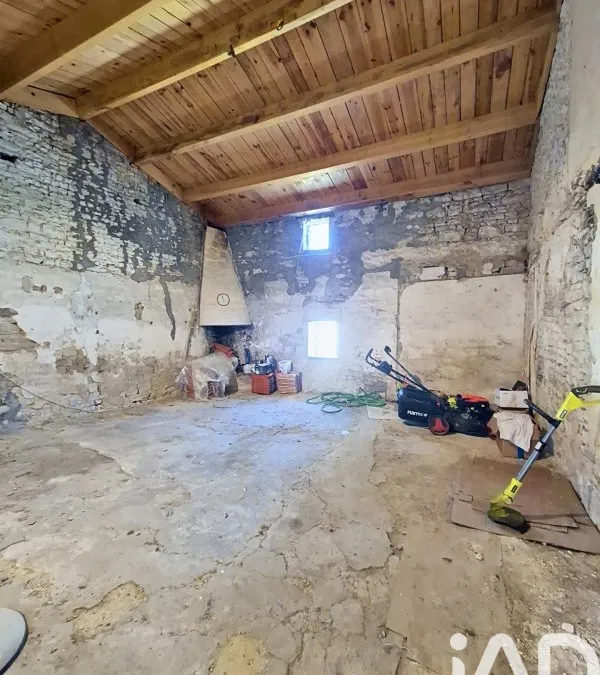 Photo 19
