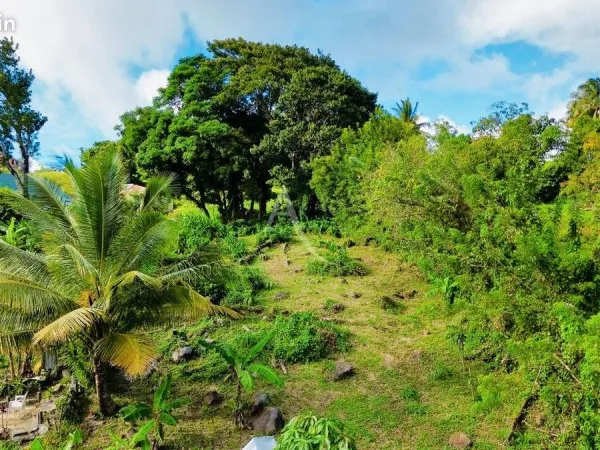 Terrain 864 m² SAINTE LUCE