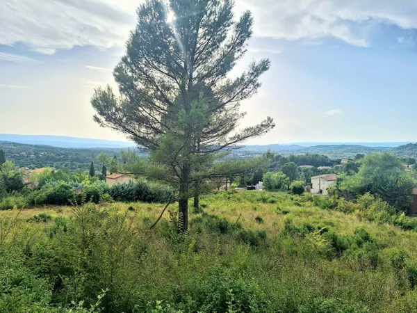 Terrain 1246 m²