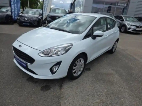 Ford Fiesta 1.0 ecoboost 95ch connect business nav 5p