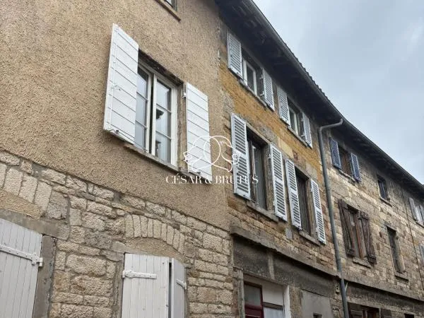 Vends duplex/triplex - 74 m² - 3 pièces, 2 chambres - Chasselay 69380