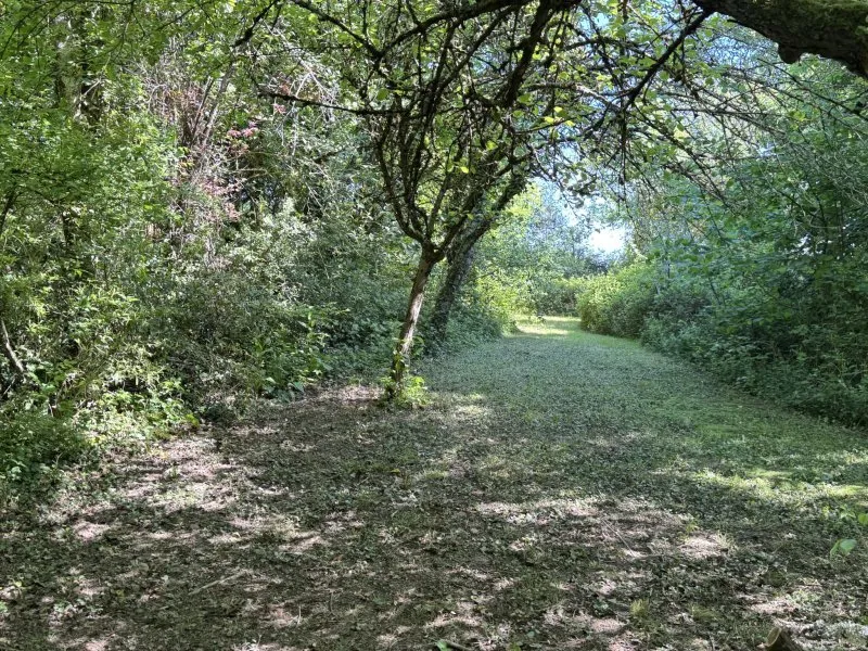 Photo 26