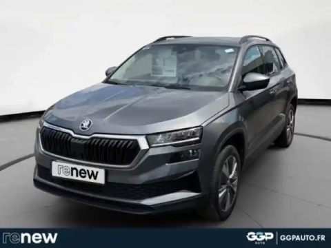 Skoda Karoq 2.0 tdi 116ch scr business