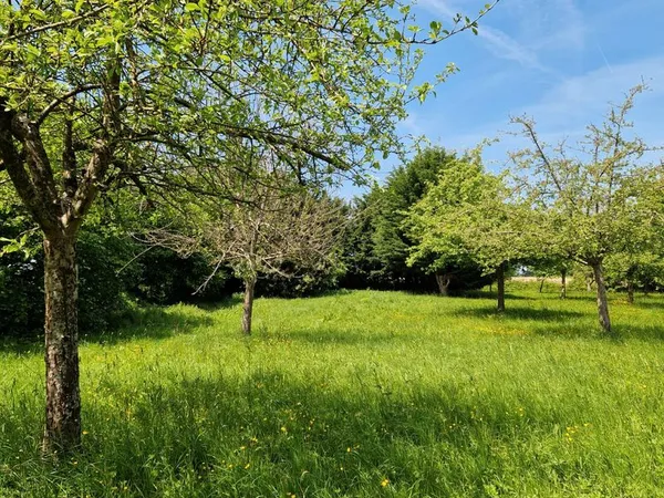 Vends terrain de 6254 m2 avec CU et batisses à renover