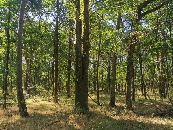 Terrain de loisirs