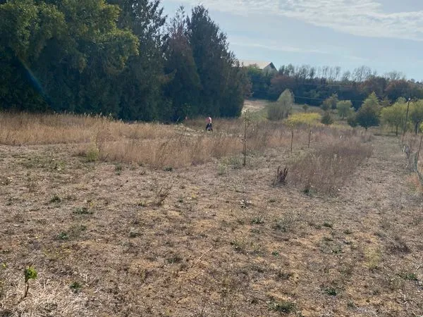 Terrain à bâtir