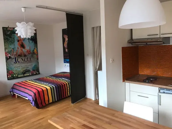 Beau studio meublé 29m2 hyper centre Strasbourg