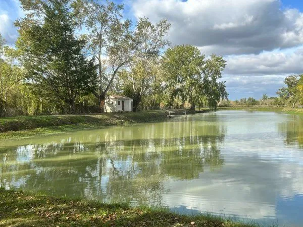 Plan d'eau Vente Damvix 15000m² 35000€