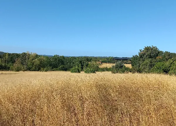 Terrain 1750 m²