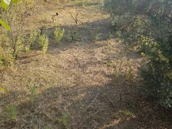 Vente terrain à batir