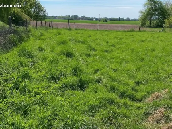 Terrain 778 m² Auchy Lez Orchies