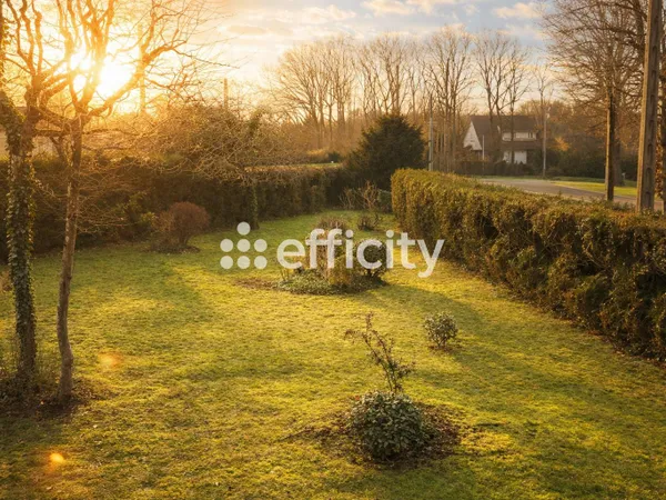 Terrain 655 m²