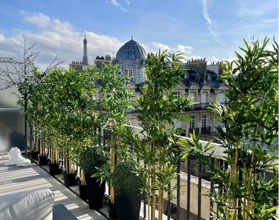 Appartement 3 pièces 57 m²