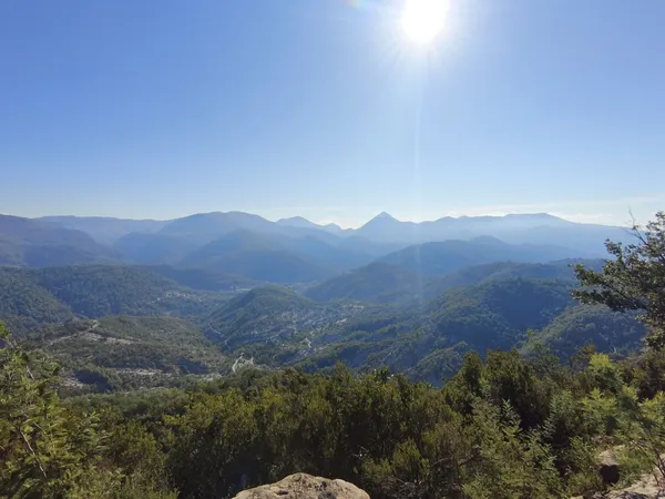 Terrain en individuel 2795 m²