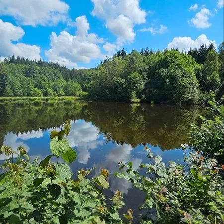 Bel étang et sa forêt