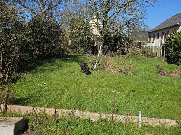Terrain 727 m²
