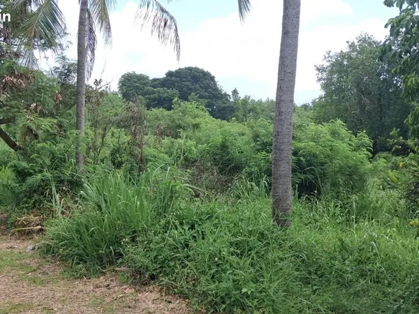 Terrain 966 m² Trois Rivieres