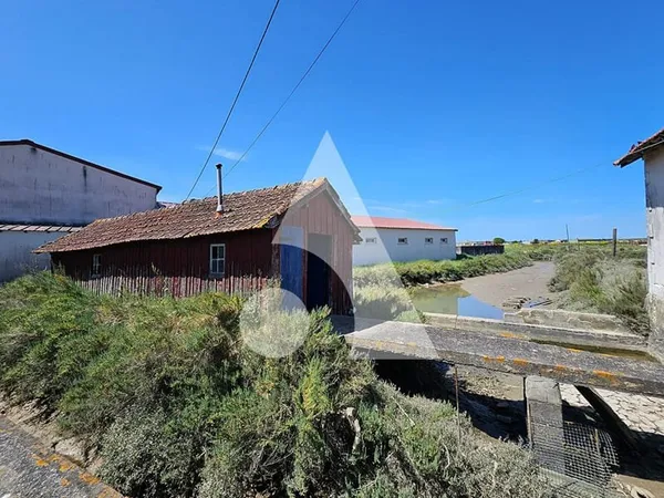 Cabane ostréicole en bord de Seudre