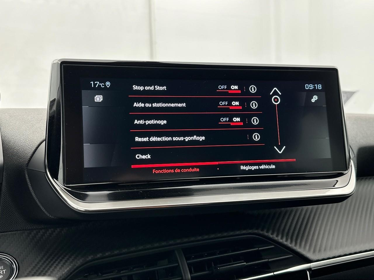 Peugeot 2008 puretech 130 s&s eat8 roadtrip — photo 23
