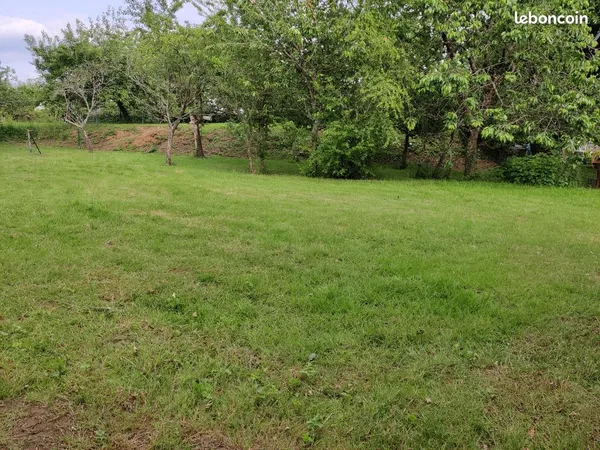 Terrain constructible