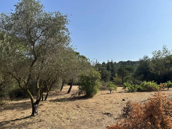 Terrain 740 m²