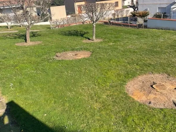 terrain coeur de ville