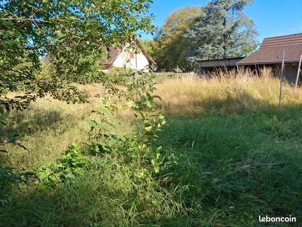 Terrain constructible