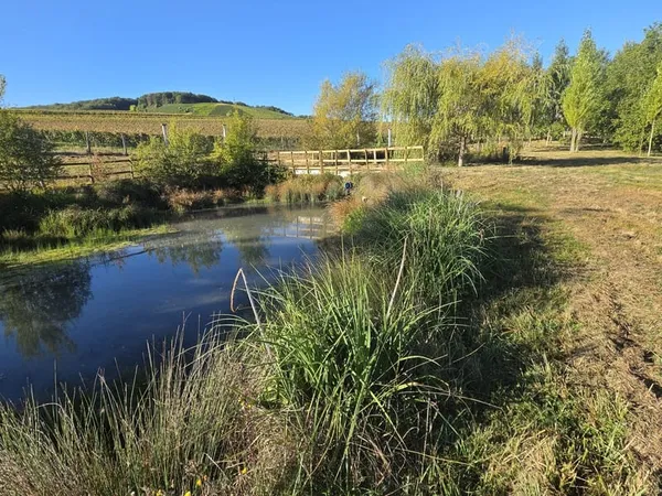 Terrain 4638 m²