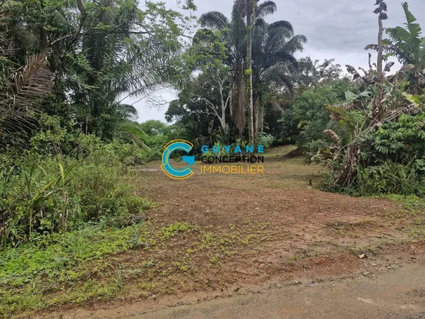 TERRAIN CONSTRUCTIBLE PARAMANA