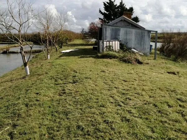 Cabane et marais