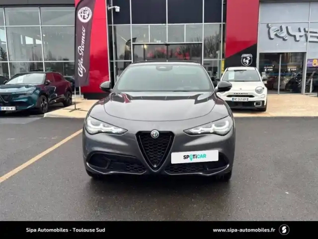 Alfa Romeo Stelvio 2.2 210 ch q4 at8 — photo 64