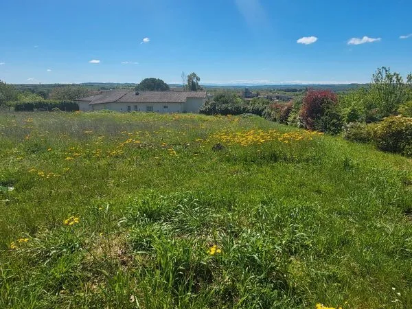 Terrain constructible