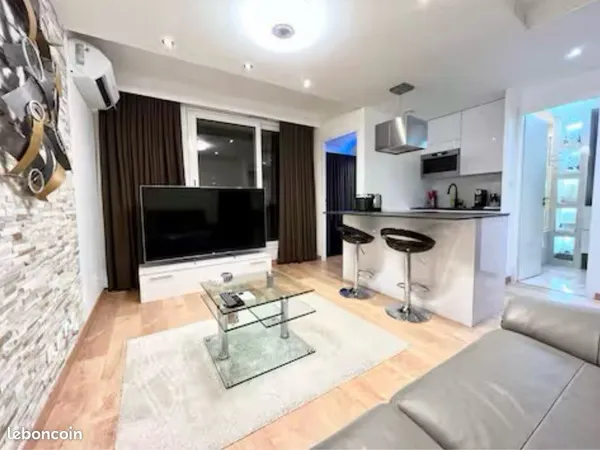 Appartement T2 entièrement refait à neuf vendu meublé / idéal investisseur