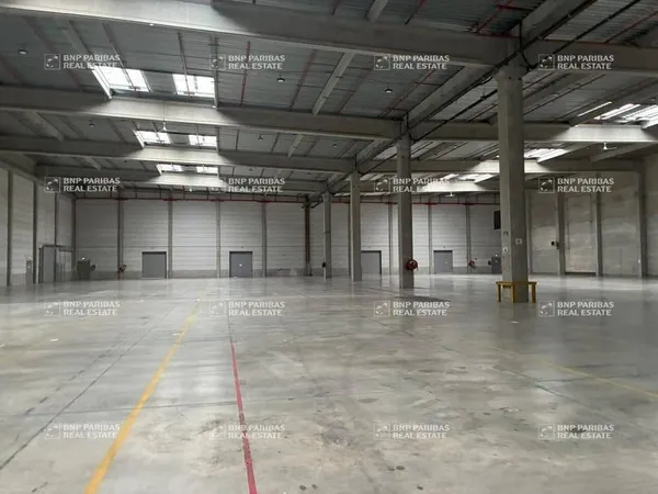 Entrepôt 6365 m²
