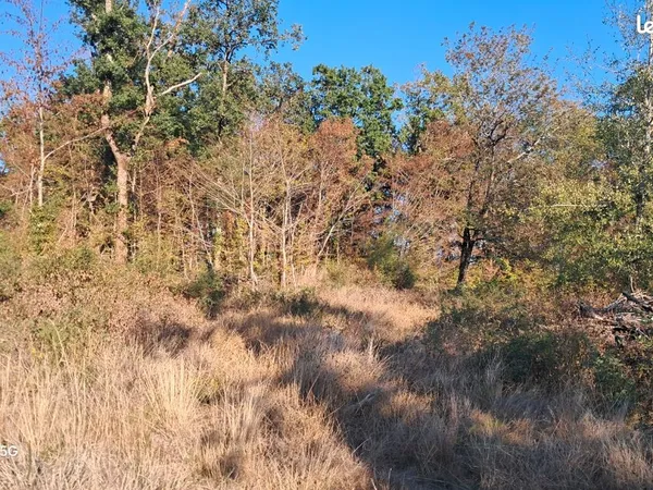 Vend terrain avec CU