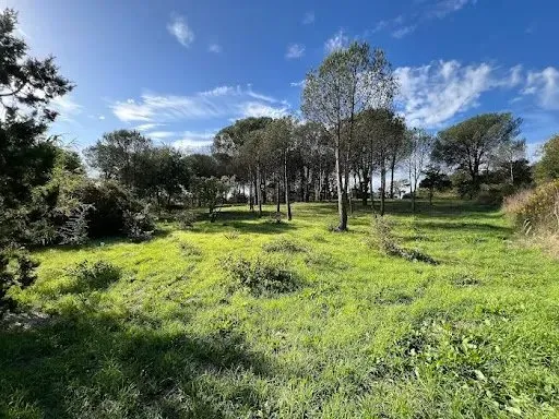 Terrain 6922 m²