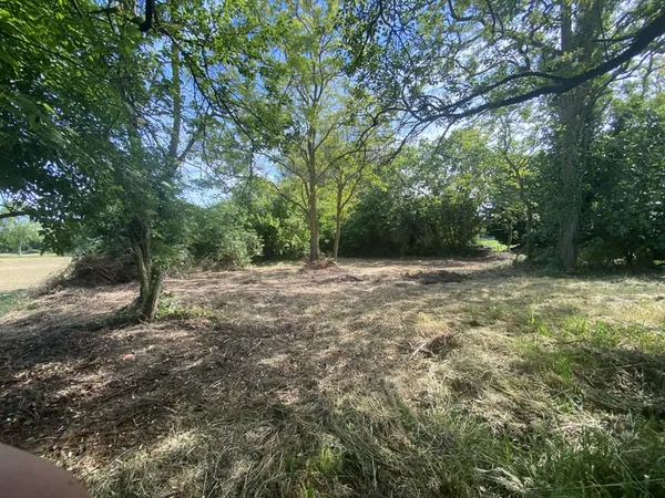 Beau terrain arboré de 655 m2 en diffus