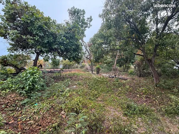 Terrain 601 m² SAINTE ANNE